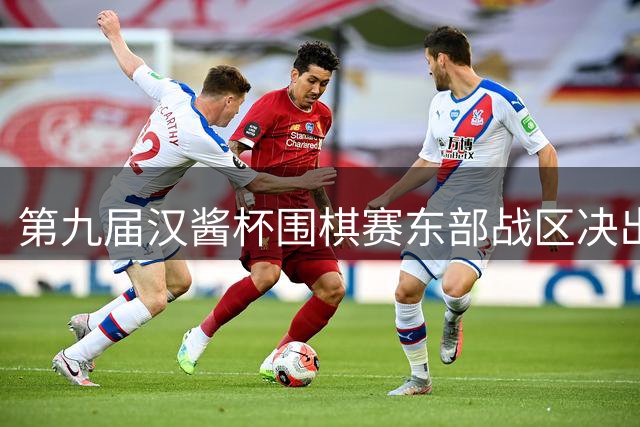 第九届汉酱杯围棋赛东部战区决出胜负